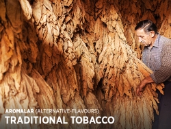 Traditional Tobacco 10ml